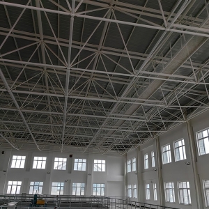 河北卢龙水厂网架工程